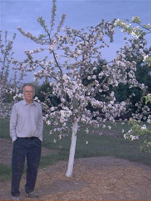 tree_larry.jpg